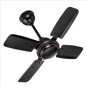 Ceiling Fan Vasco 24 Inch  